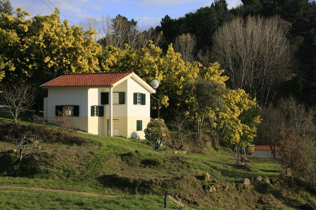 Photo of Buildings in Covas