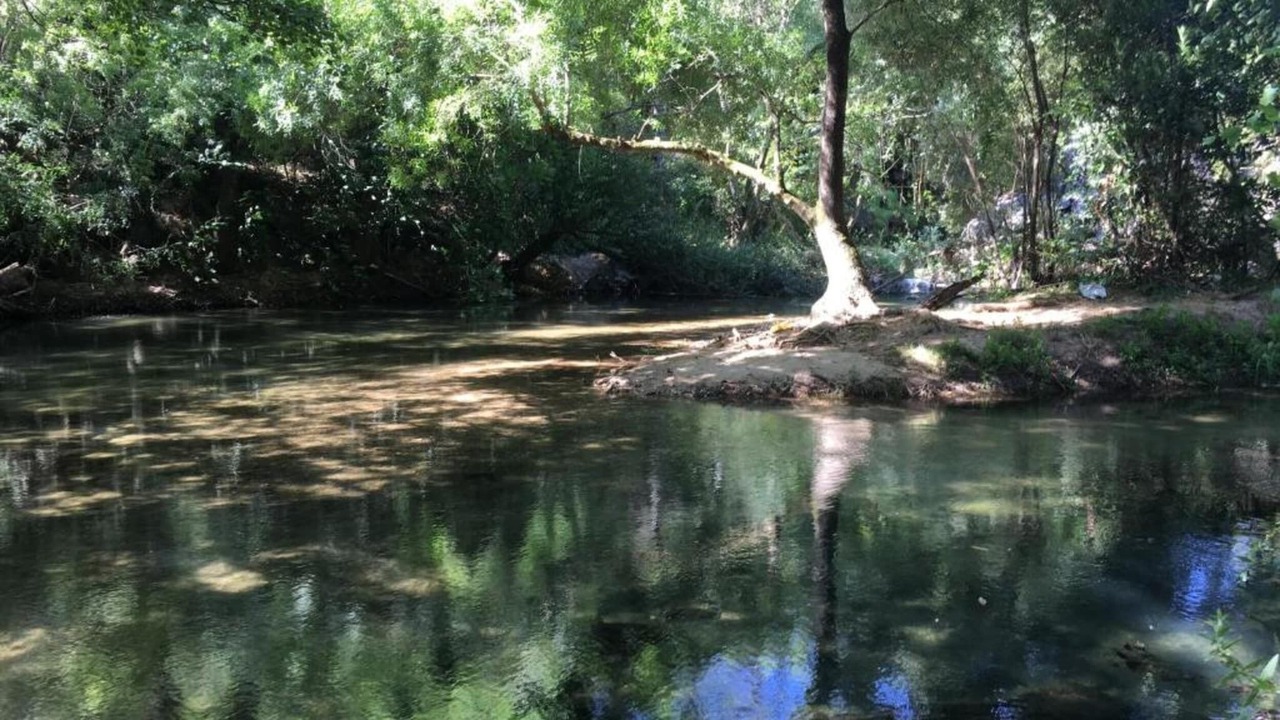 Photo of Others in Paialvo