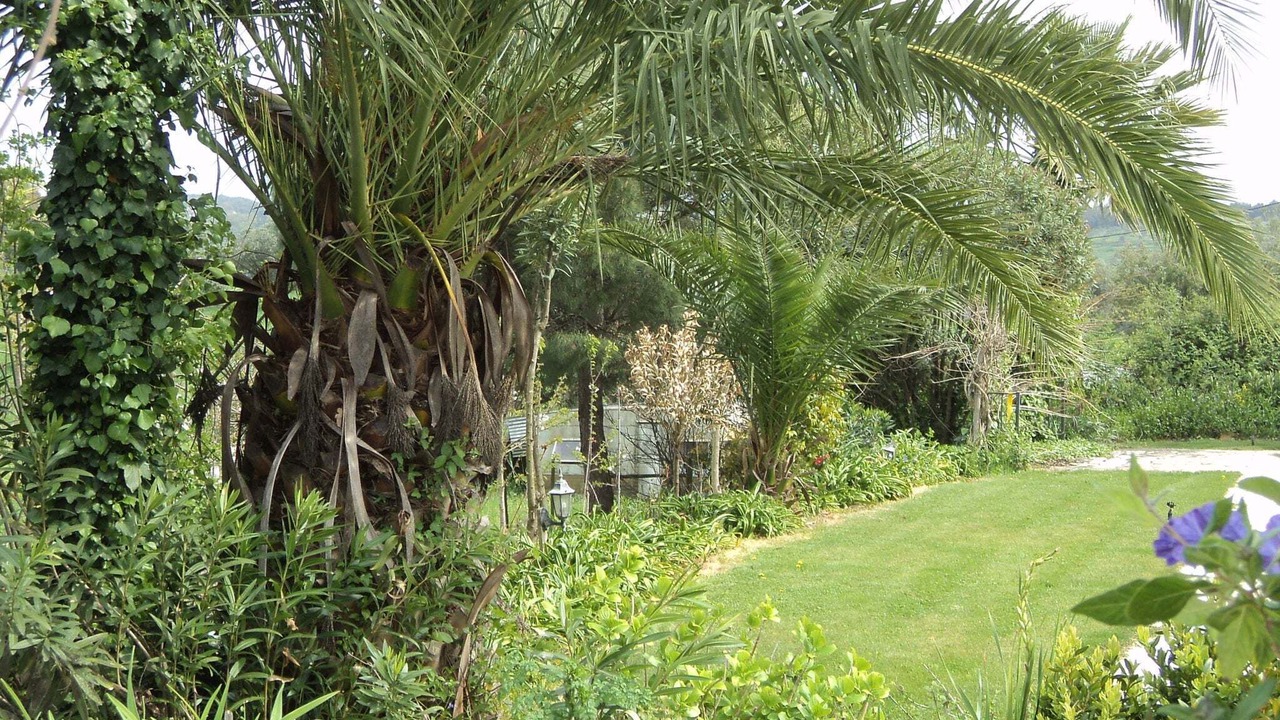 Photo of Outdoor in Montemor-o-Novo
