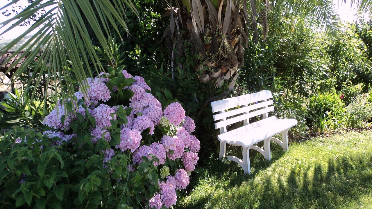 Photo of Outdoor in Montemor-o-Novo