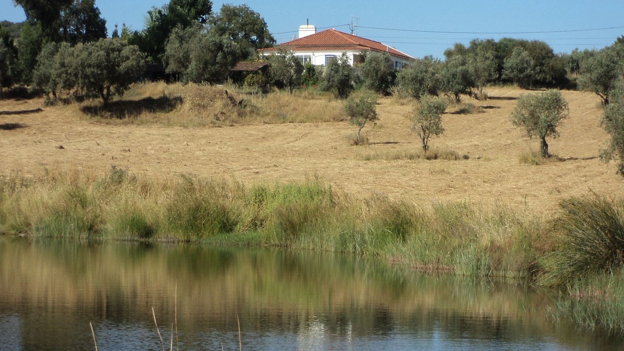 Photo of Others in Montemor-o-Novo