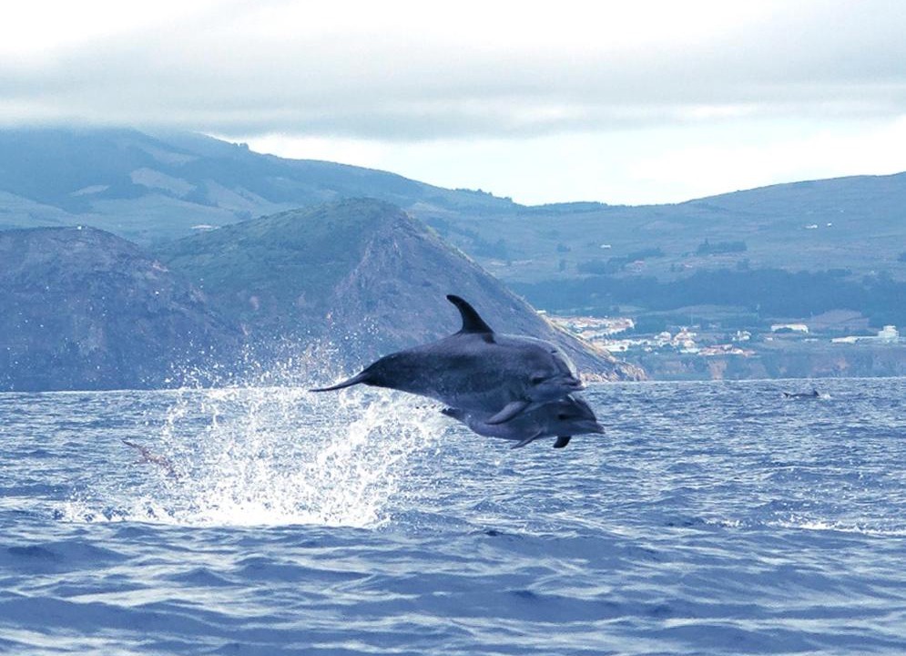 Photo of Others in Angra do Heroismo