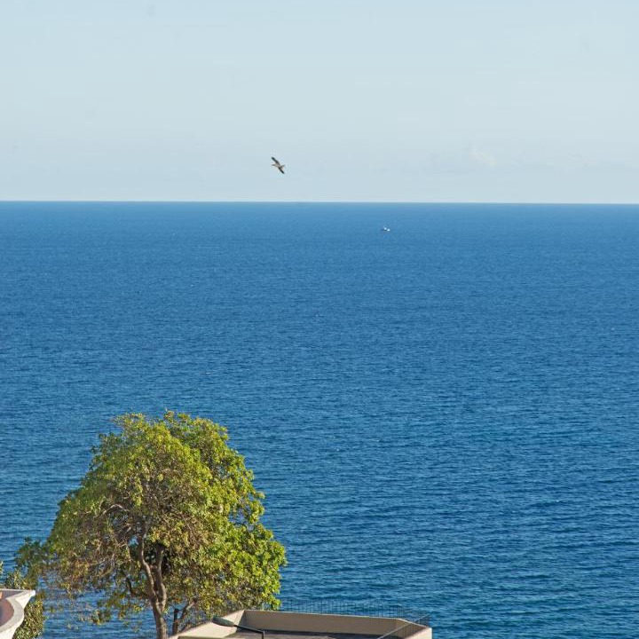 Photo of Others in Sao Martinho