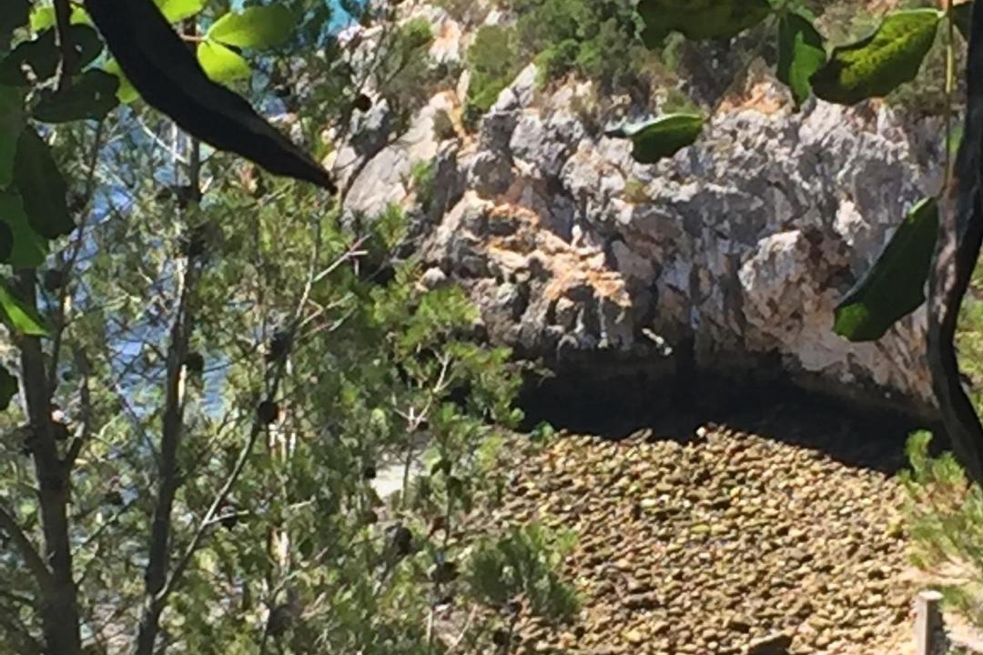Photo of Others in Portinho da Arrabida