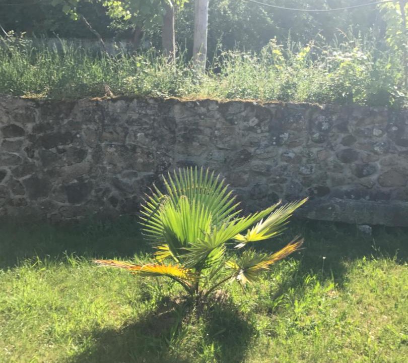 Photo of Outdoor in Povoa de Lanhoso