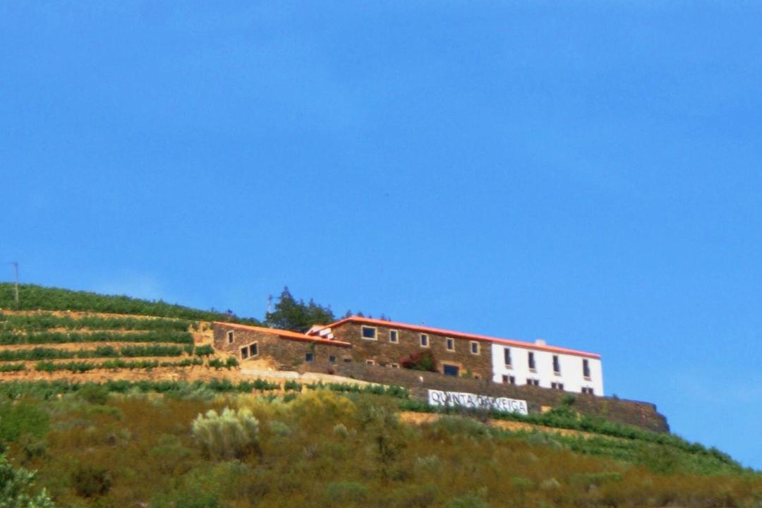 Photo of Others in Bomfim