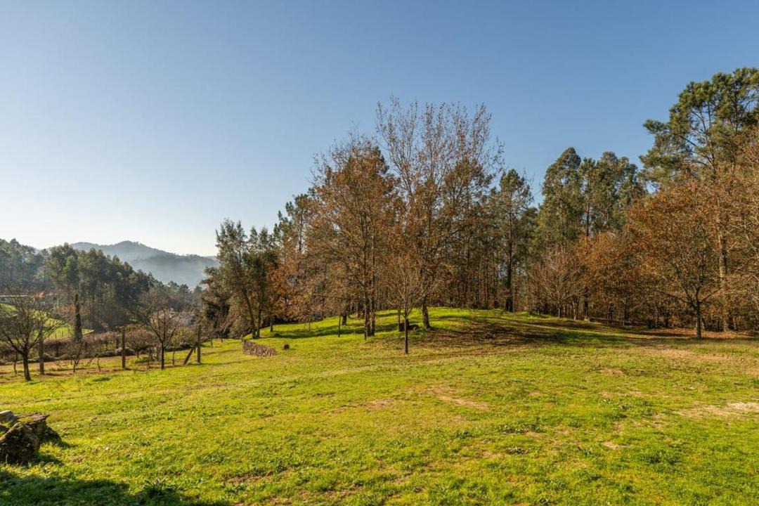 Photo of Others in Ponte de Lima