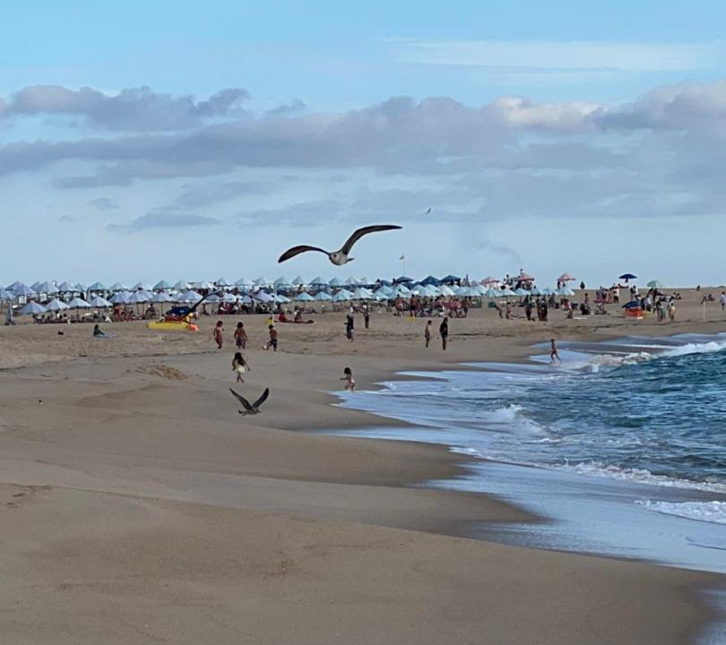 Photo of Others in Figueira da Foz