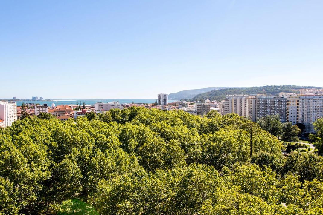 Photo of Others in Setubal