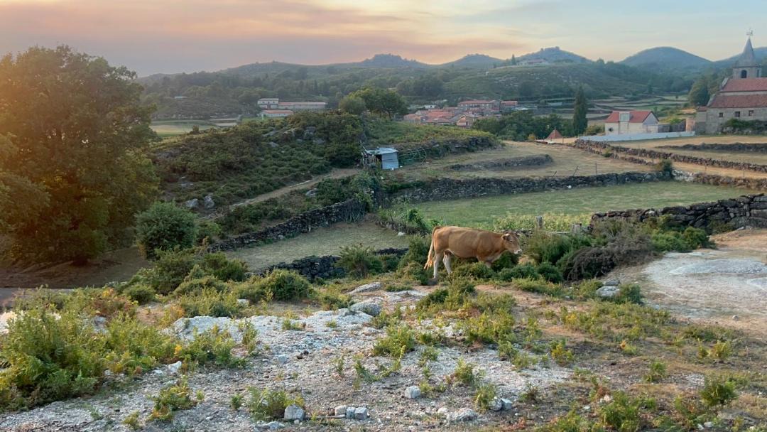 Photo of Others in Bouro