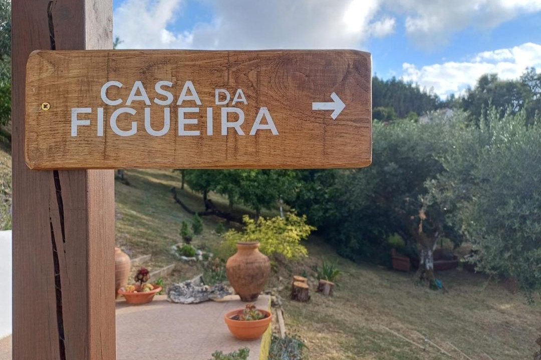 Photo of Others in Oleiros