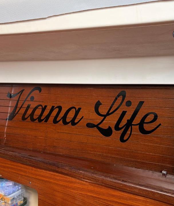 Photo of Others in Viana do Castelo