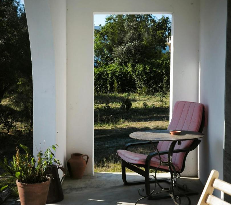 Photo of Others in Montemor-o-Novo