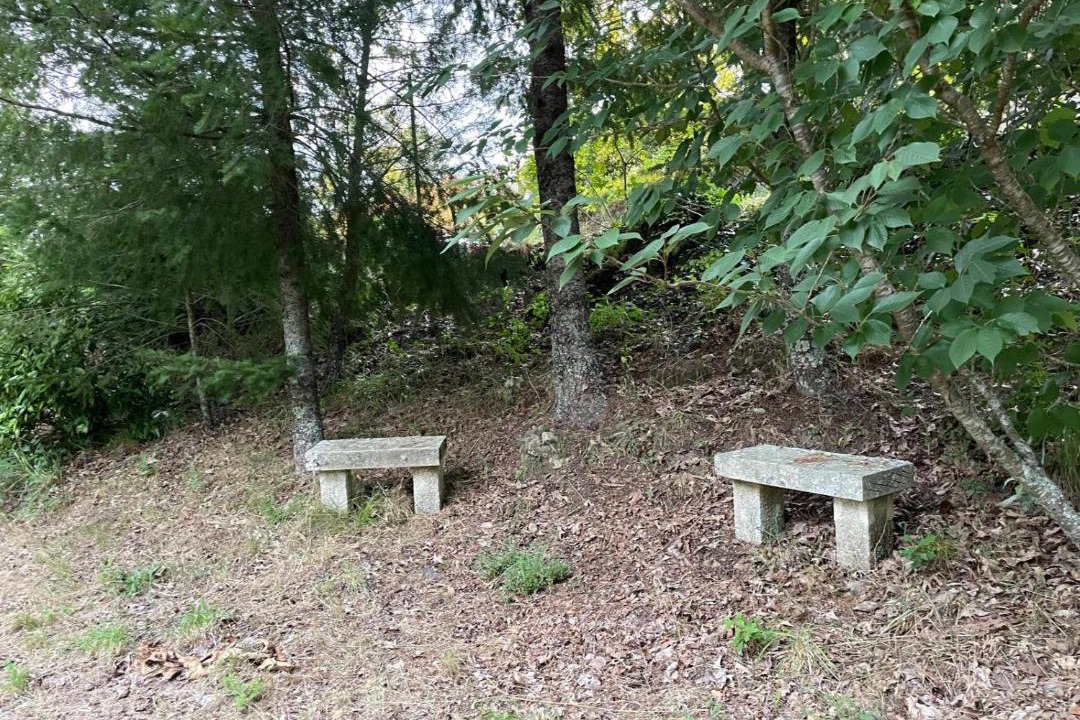 Photo of Others in Paredes de Coura