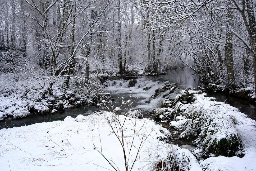 Photo of Others in Varzea Cova