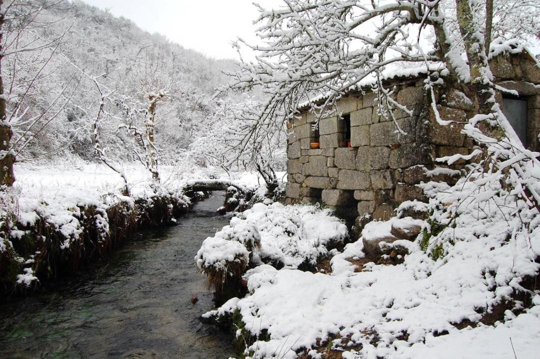 Photo of Others in Varzea Cova