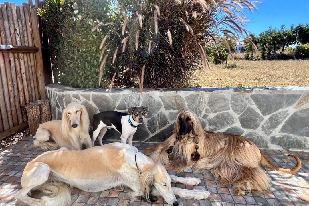 Photo of Others in Zambujeira do Mar