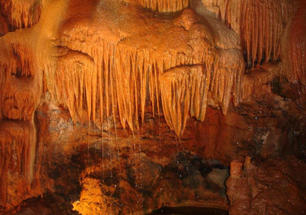 Photo of Others in Marinha Grande