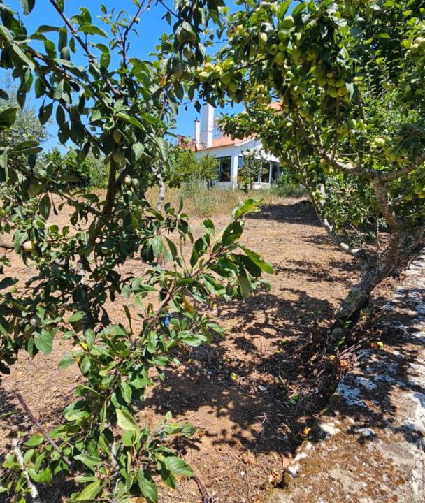 Photo of Others in Leiria