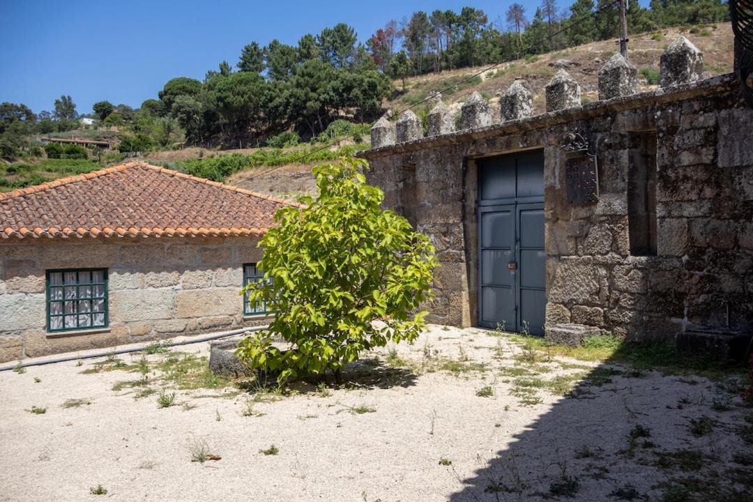 Photo of Others in Santa Cruz do Douro