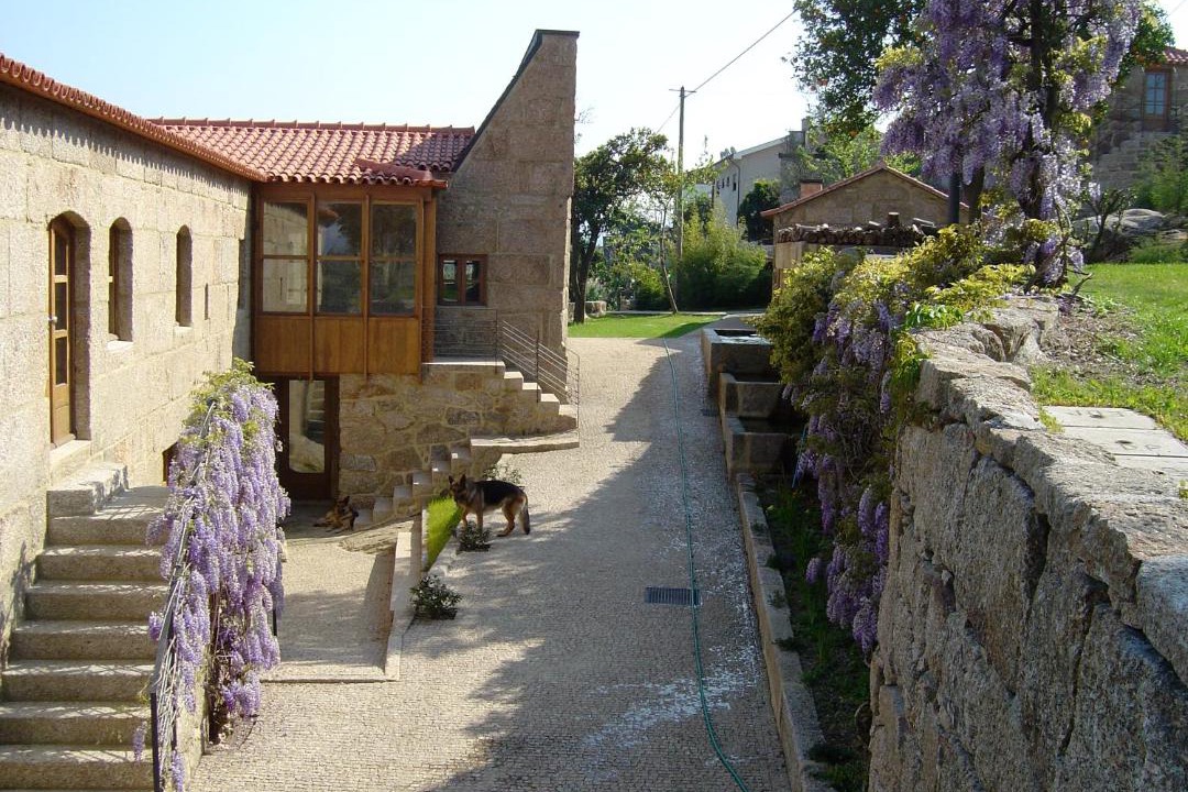 Photo of Others in Penafiel