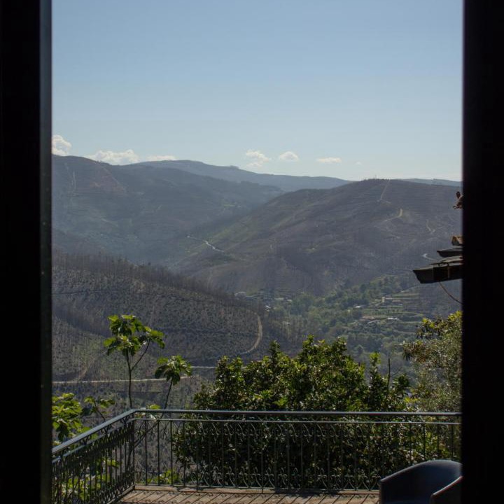 Photo of Others in Arouca