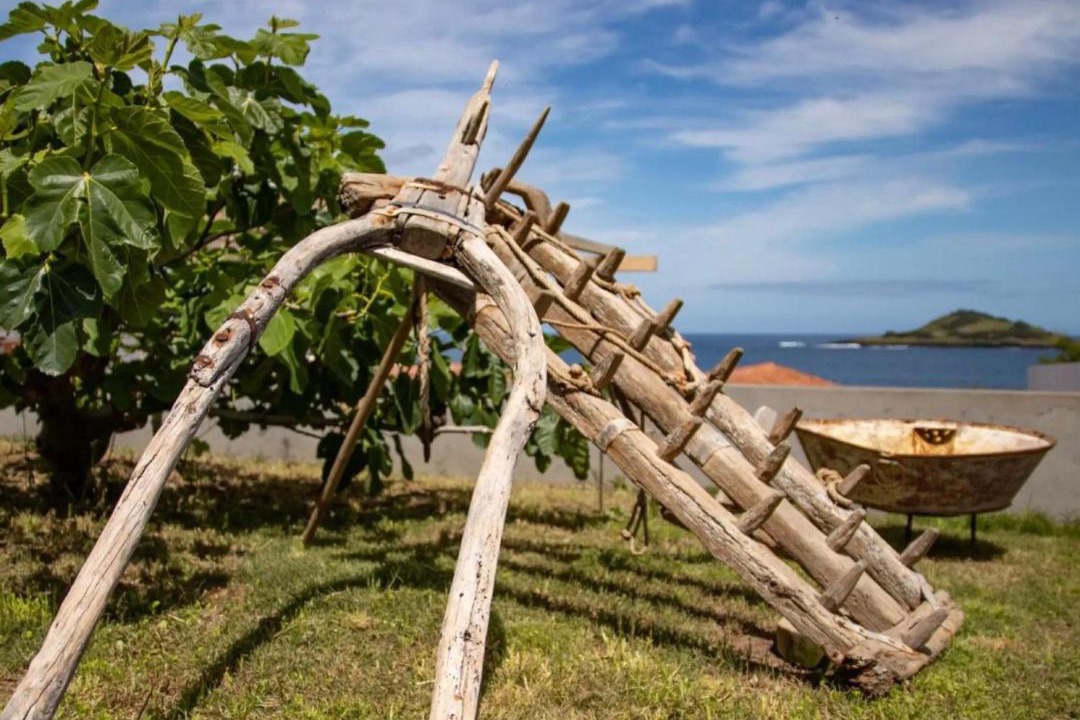 Photo of Others in Santa Cruz da Graciosa