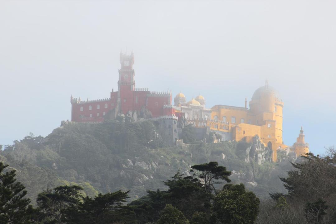 Photo of Others in Varzea de Sintra