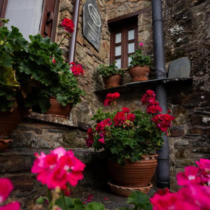 Photo of Others in Gondramaz