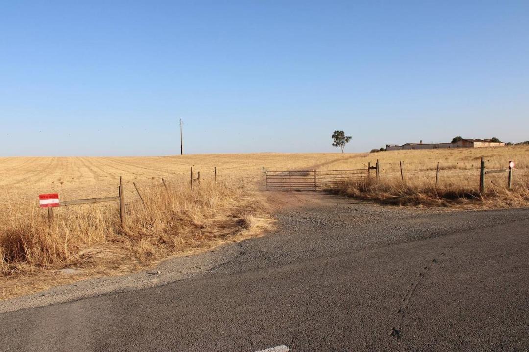Photo of Others in Mertola