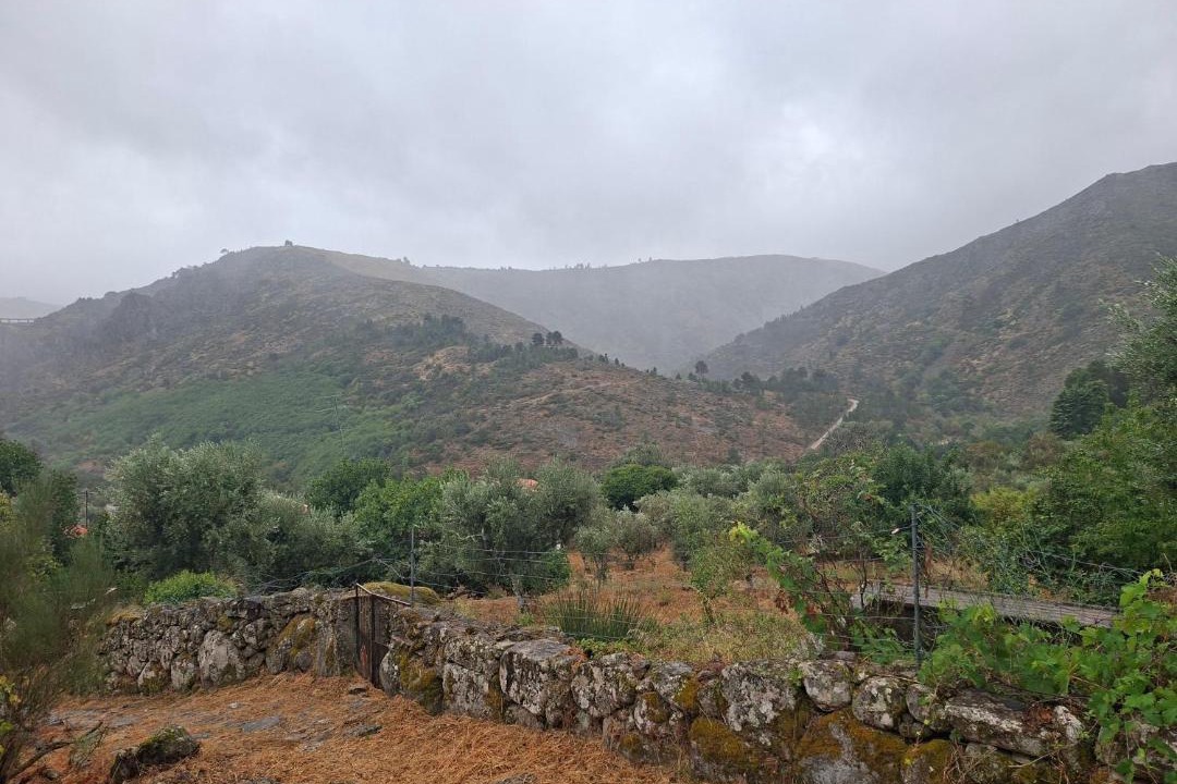 Photo of Others in Guarda