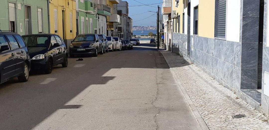 Photo of Others in Seixal