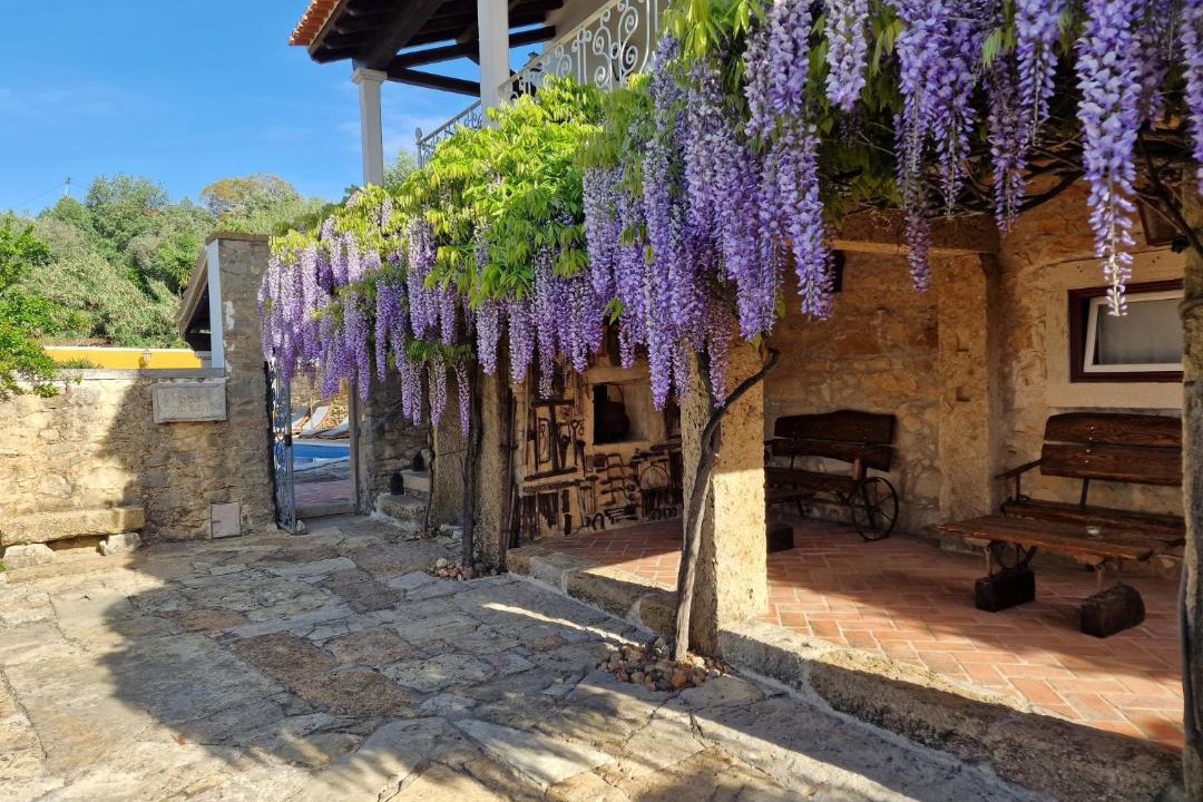 Photo of Others in Tomar