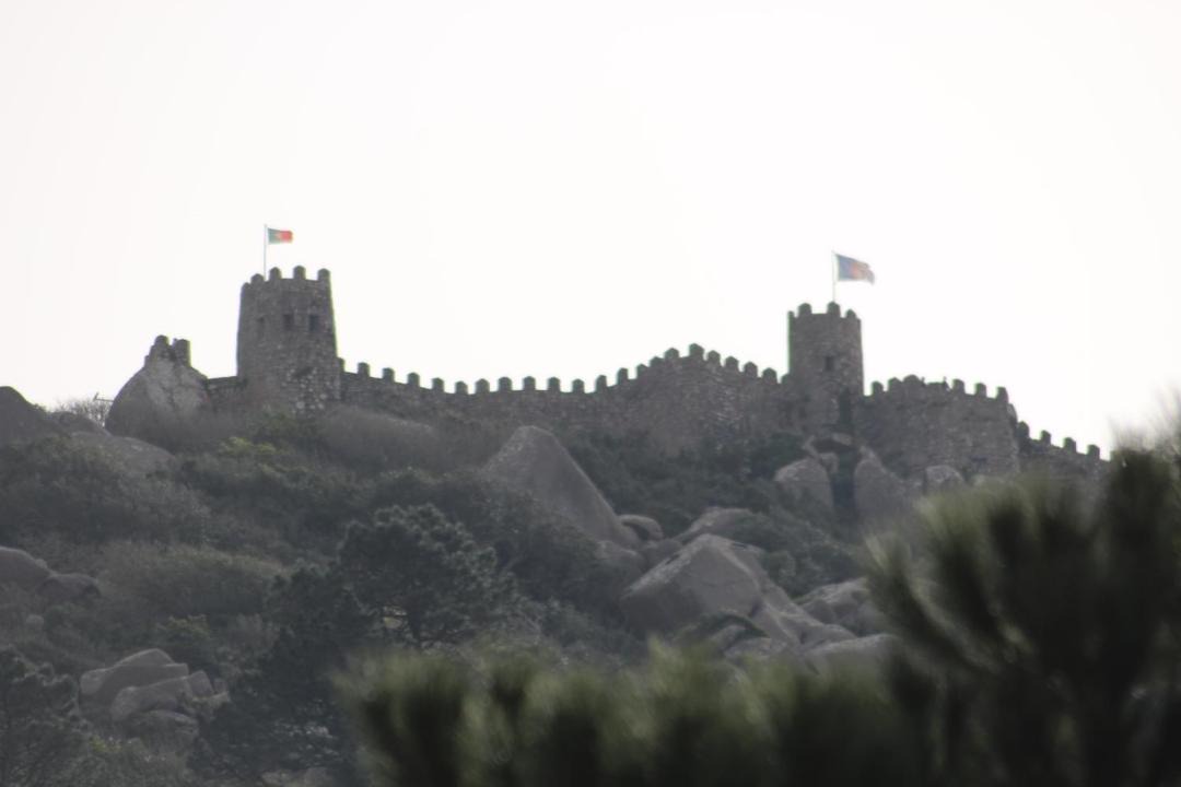 Photo of Others in Varzea de Sintra
