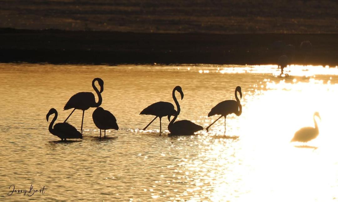 Photo of Others in Sao Bras de Alportel