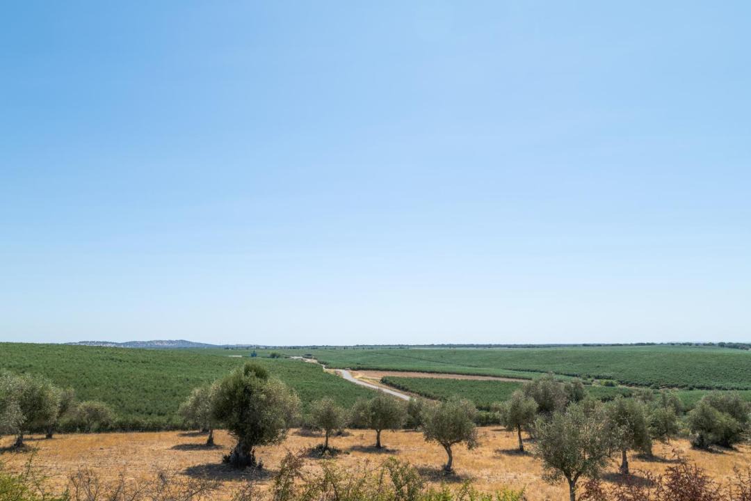 Photo of Others in Torrao