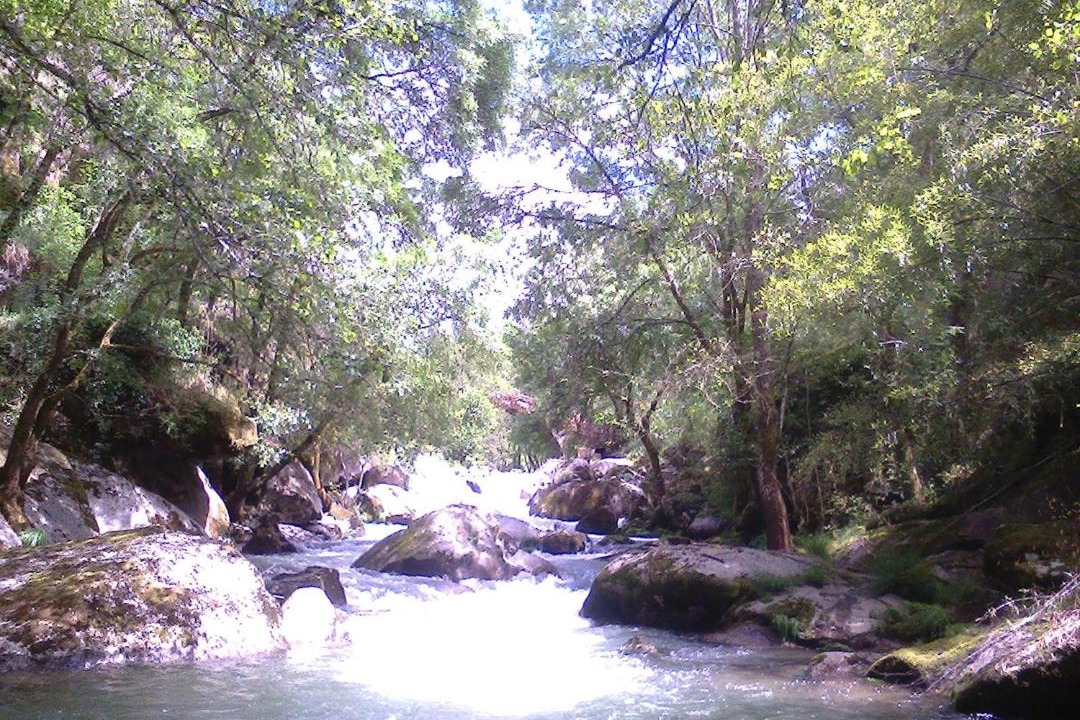 Photo of Others in Varzea da Ovelha e Aliviada