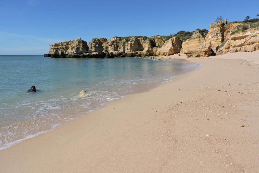 Photo of Others in Albufeira