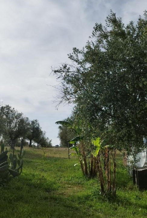Photo of Others in Fronteira