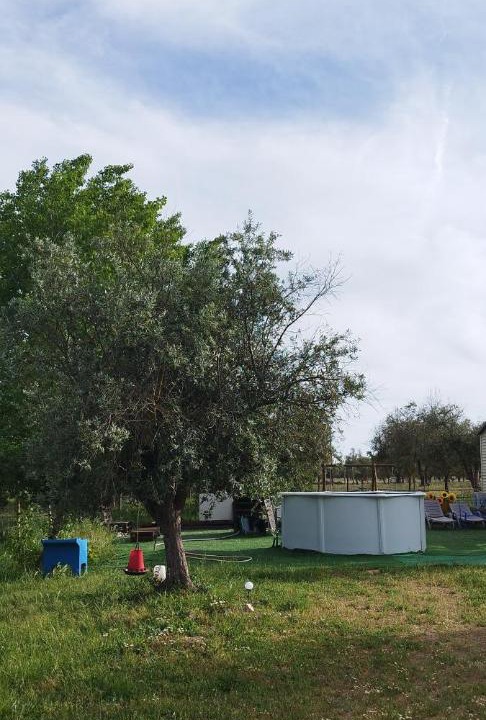 Photo of Others in Fronteira