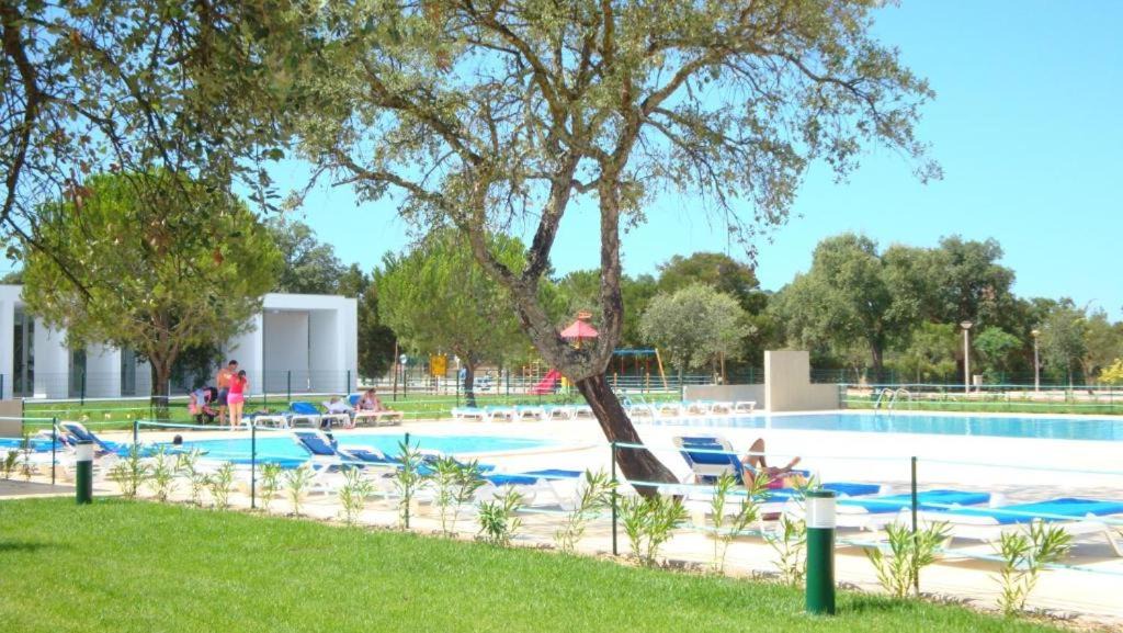 Photo of Others in Peroguarda