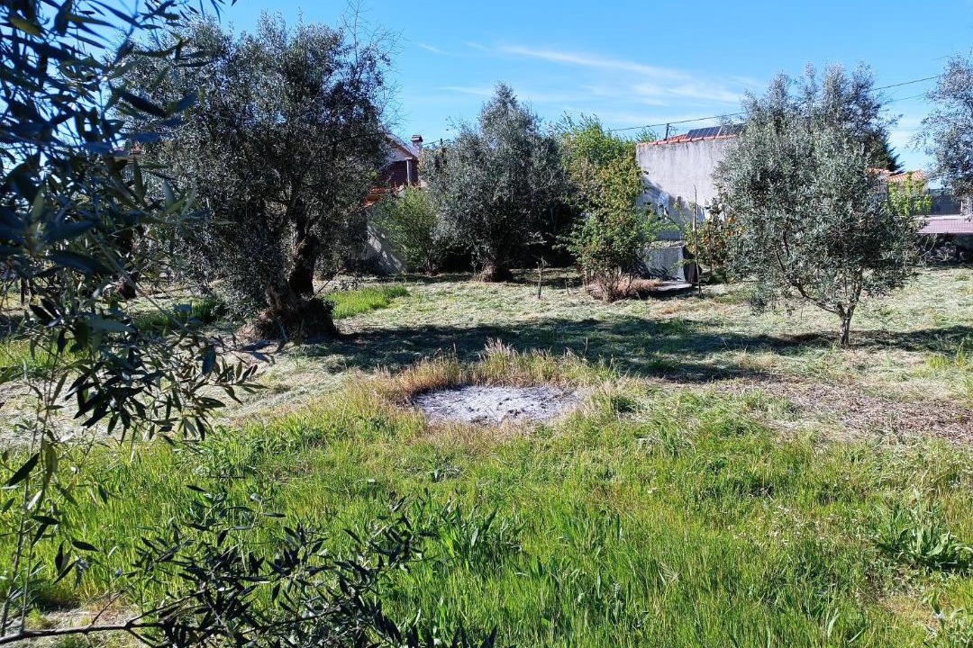 Photo of Others in Gouveia