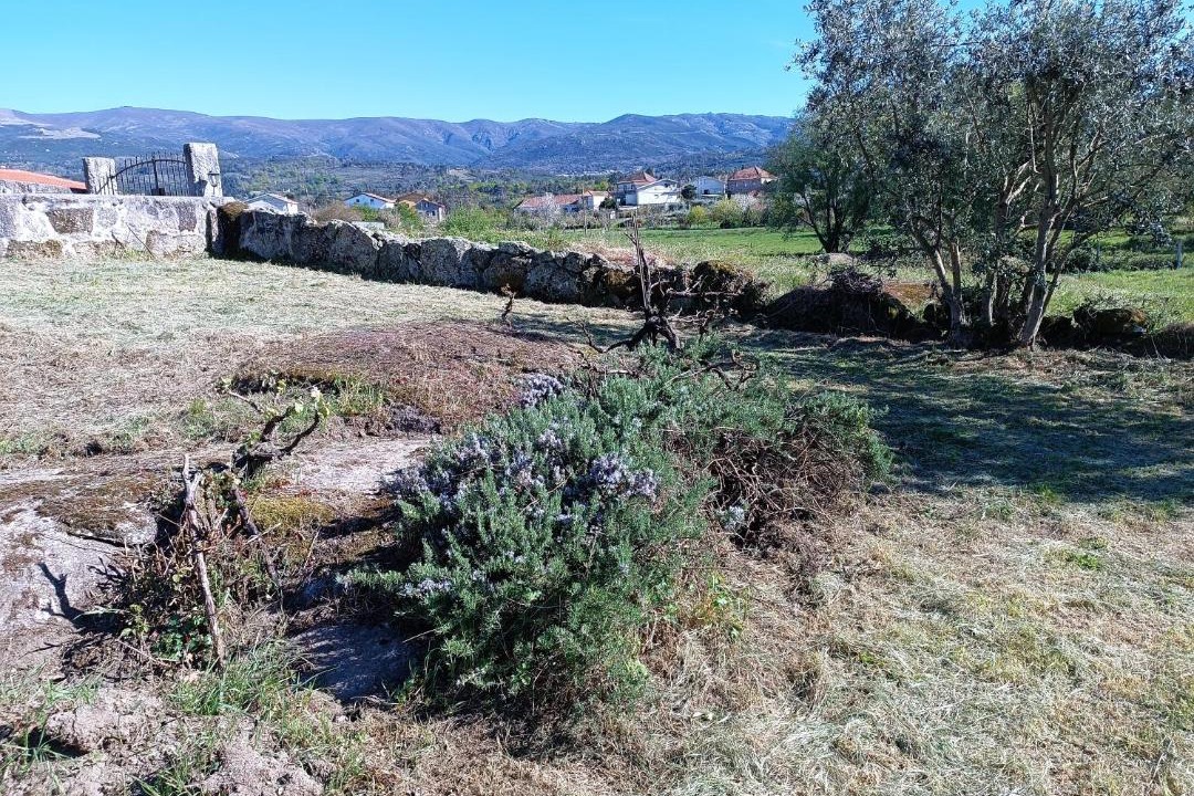 Photo of Others in Gouveia