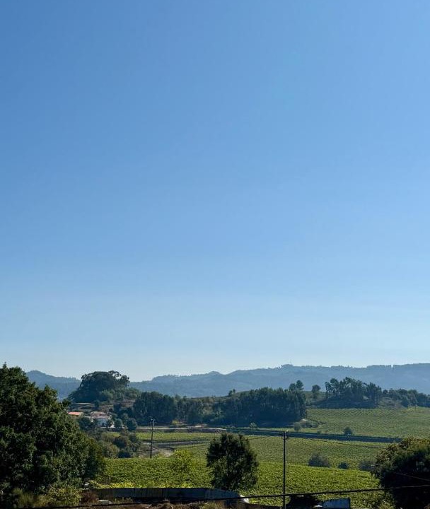 Photo of Others in Vilarinho