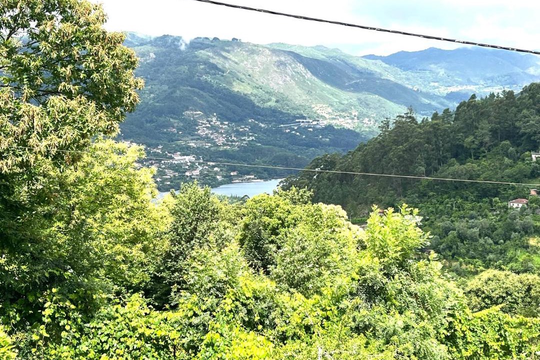 Photo of Others in Cova