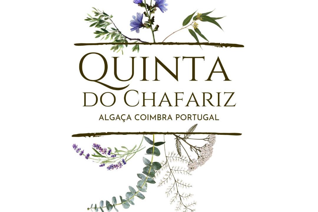Photo of Others in Vila Nova de Poiares