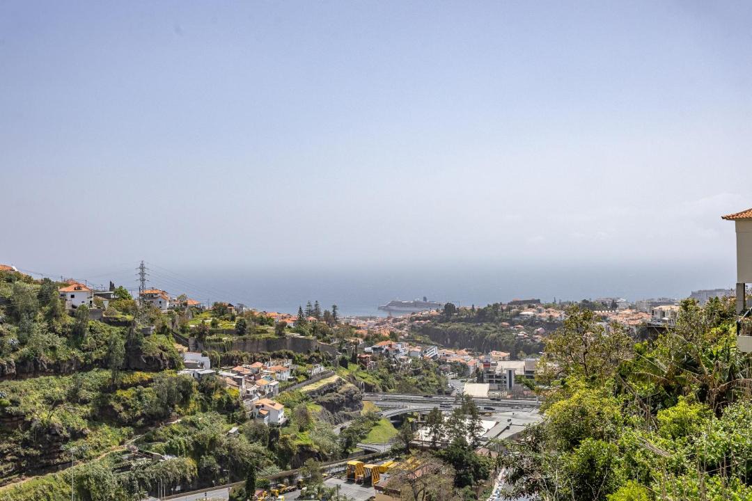 Photo of Others in Sao Roque