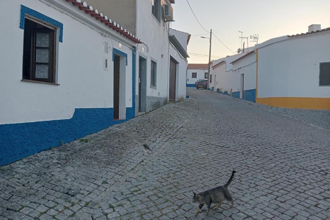 Photo of Others in Peroguarda