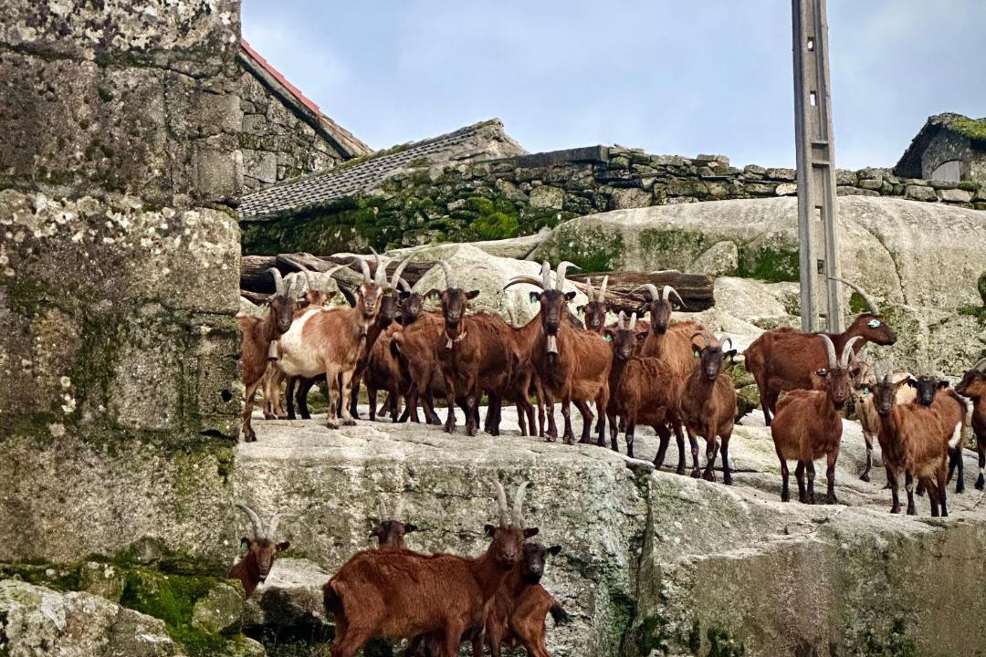 Photo of Others in Barreiro