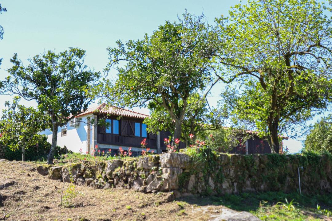 Photo of Others in Ponte de Lima